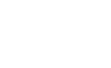 DM Investor Series Logo